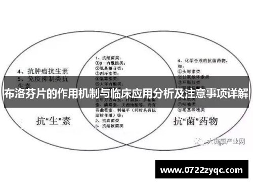 布洛芬片的作用机制与临床应用分析及注意事项详解