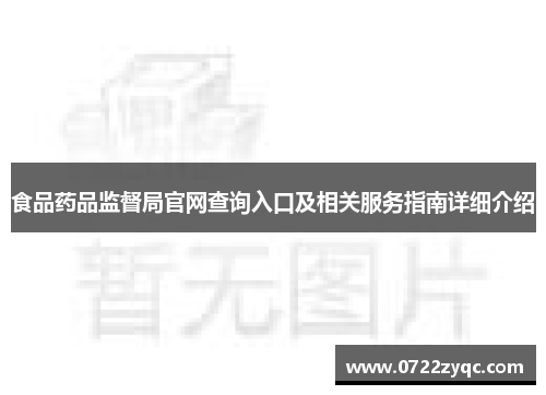 食品药品监督局官网查询入口及相关服务指南详细介绍